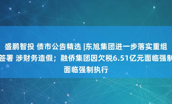 盛鹏智投 债市公告精选 |东旭集团进一步落实重组协议签署 涉财务造假；融侨集团因欠税6.51亿元面临强制执行