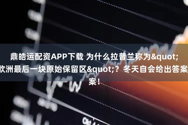 鼎皓运配资APP下载 为什么拉普兰称为"欧洲最后一块原始保留区"？冬天自会给出答案！