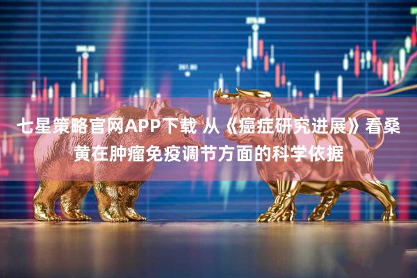 七星策略官网APP下载 从《癌症研究进展》看桑黄在肿瘤免疫调节方面的科学依据