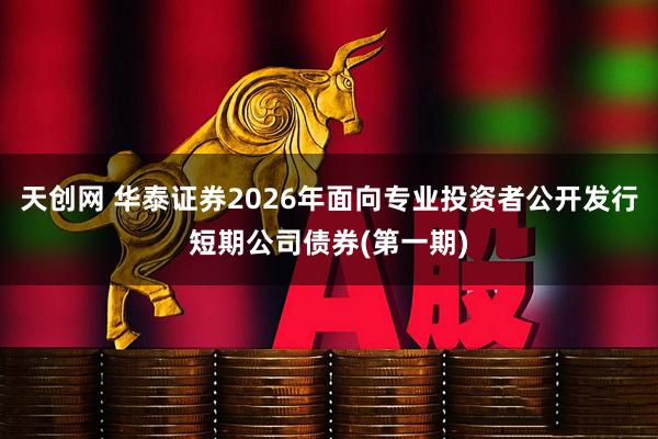 天创网 华泰证券2026年面向专业投资者公开发行短期公司债券(第一期)